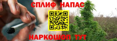 дмт Берёзовский