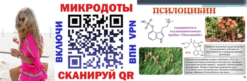 Галлюциногенные грибы MAGIC MUSHROOMS  купить   МЕГА   Владикавказ 