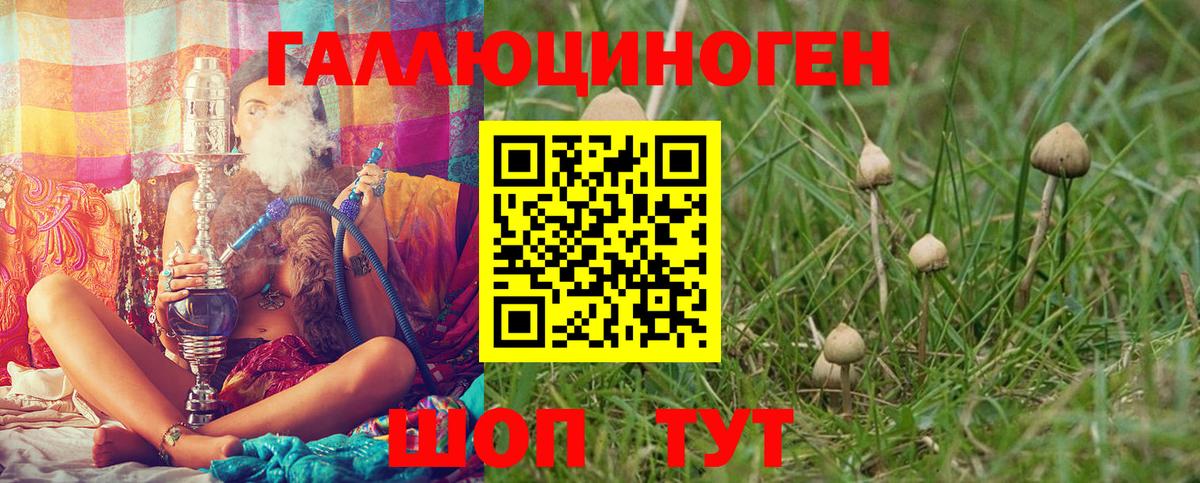 Псилоцибиновые грибы Cubensis Владикавказ