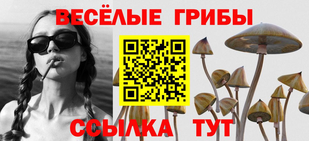 Владикавказ  Галлюциногенные грибы мицелий  Вход с VPN 