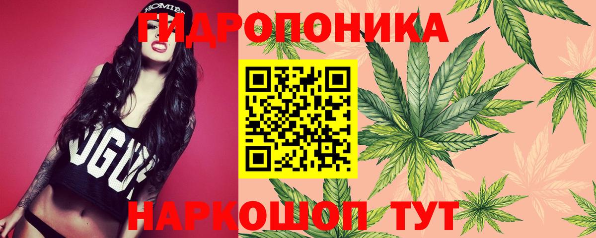 Бошки Шишки MAZAR  Вход с VPN  Владикавказ  Конопля OG Kush  Шишки марихуана Amnesia 